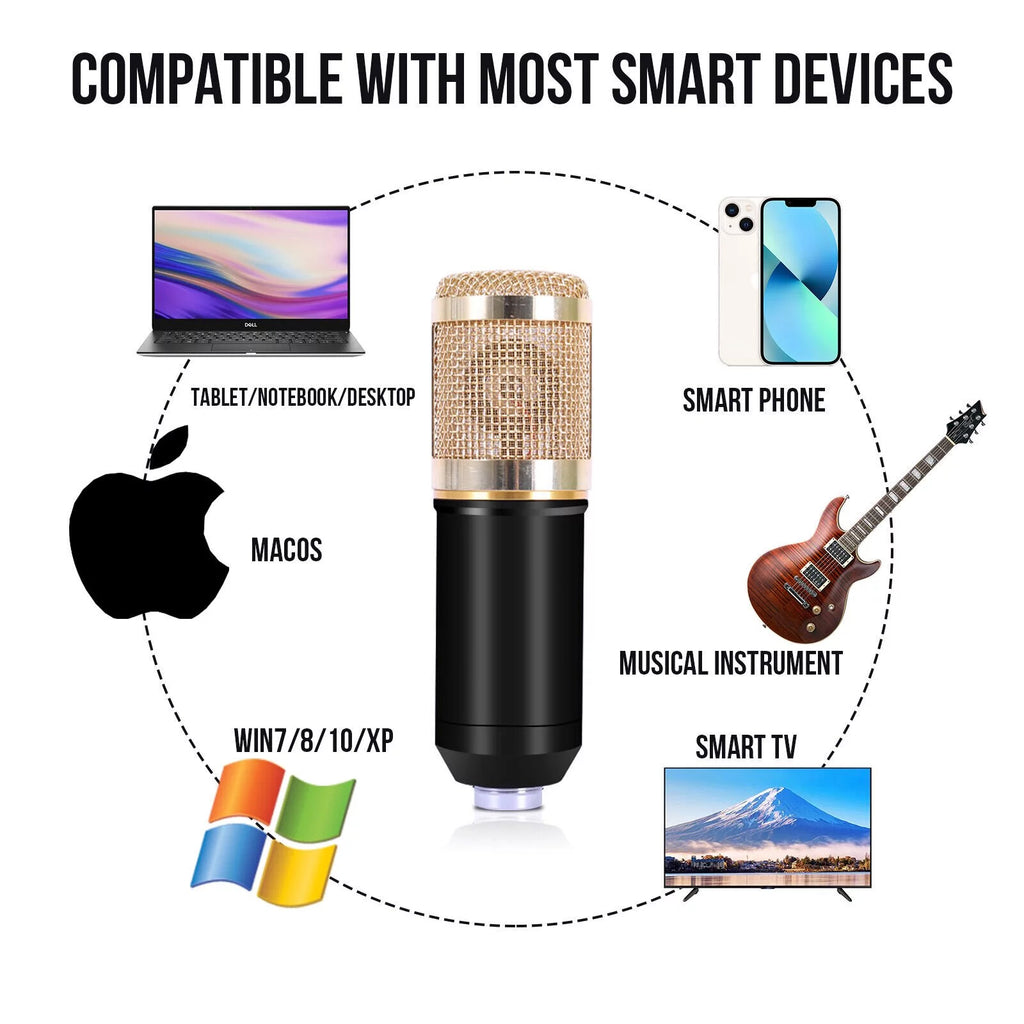 Condenser Microphone Bundle with Voice Changer L6060