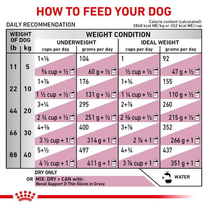 Veterinary Diet Renal Support Dry Dog Food L4711