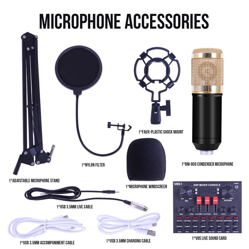 Condenser Microphone Bundle with Voice Changer L6060