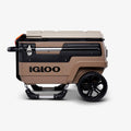70 qt Brown Cooler V10020