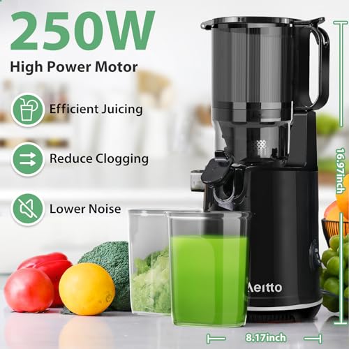 Black Cold Press Juicer with Extra Large Feed Chute D218571