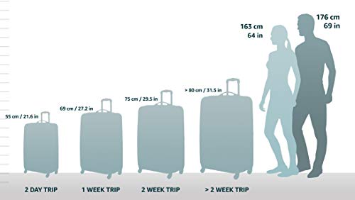 Black 2-Piece Softside Upright Luggage Set J961