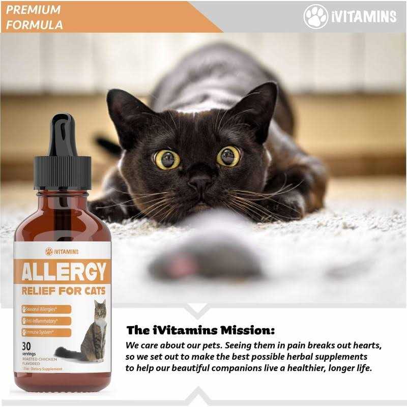 Allergy Relief for Cats R471845