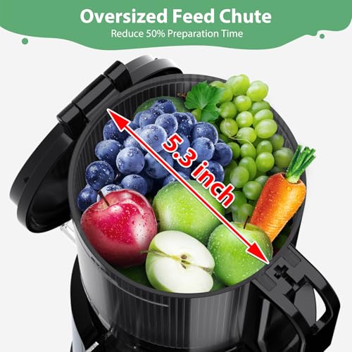 Black Cold Press Juicer with Extra Large Feed Chute D218571