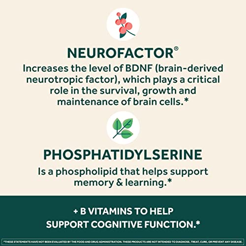 Brain Supplement 30 Capsules C40255