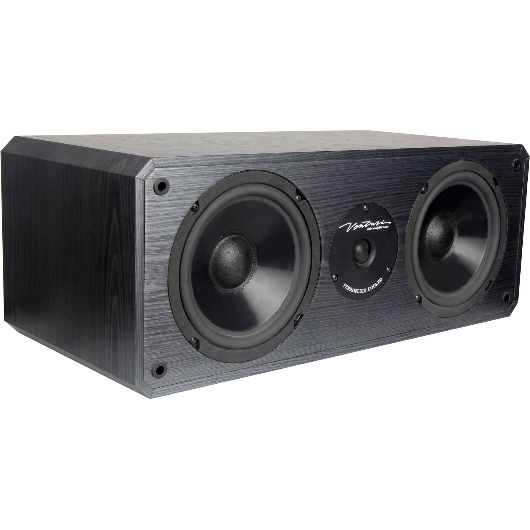 Black 2-way Center Channel Speaker P11228