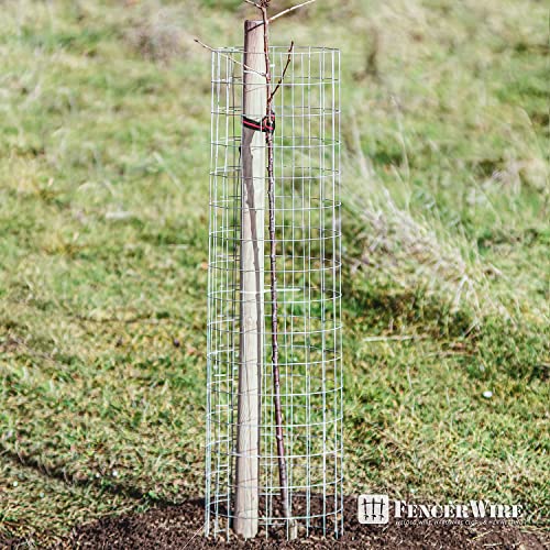 14 Gauge Galvanized Welded Wire Mesh 2 inch by 4 inch W105475