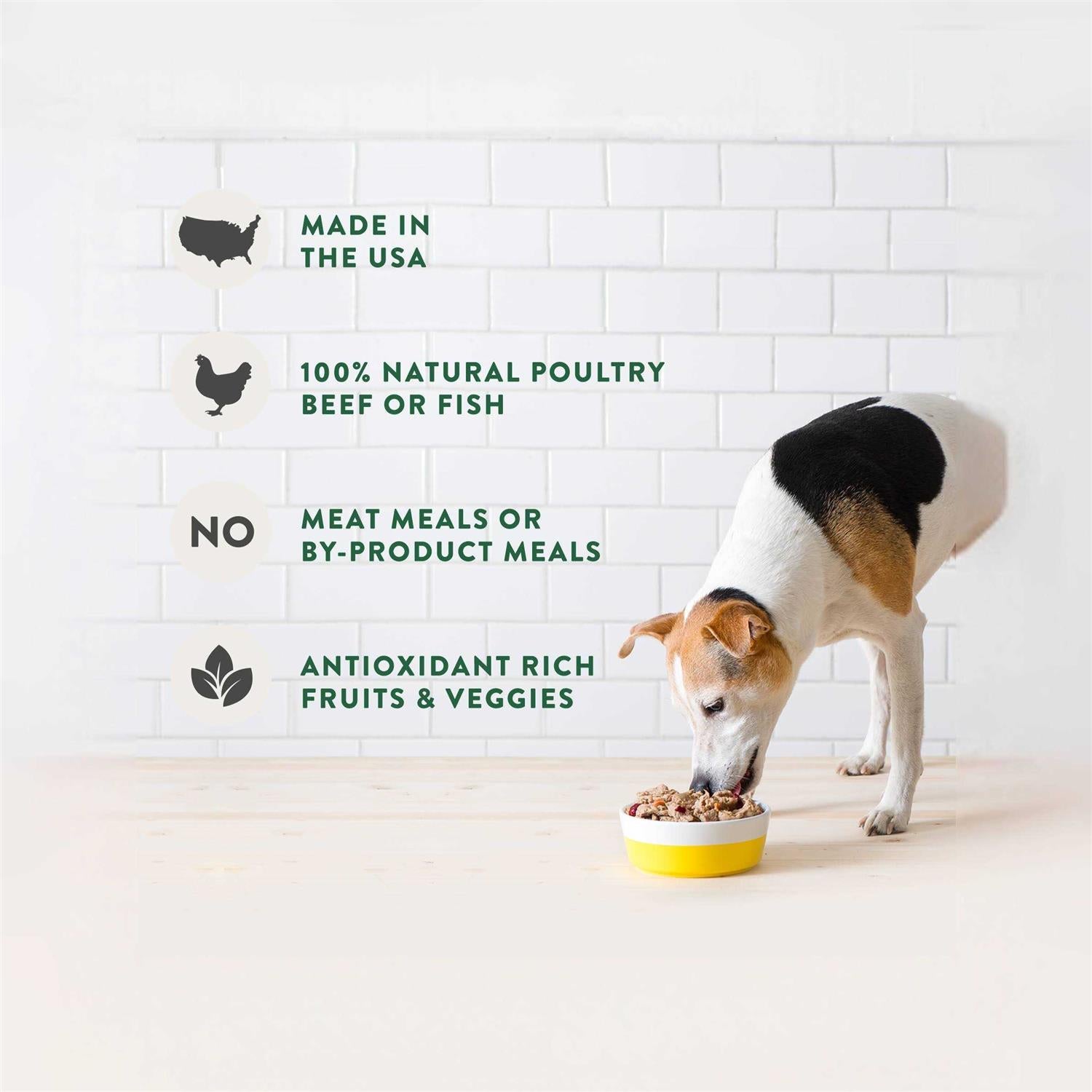 Chunky Beef Recipe Dog Food W4220