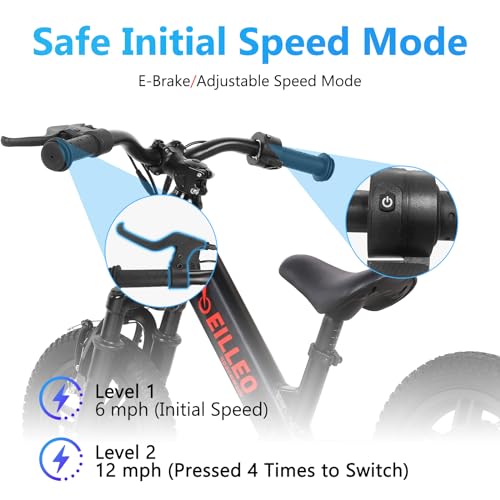 Electric Bike for Kids, 100W Electric Balance Bike, 12 inch Inflatable Tire V308554