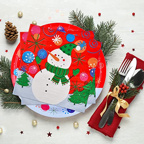 Christmas Snowman Disposable Paper Dinner Plates and Napkins L349