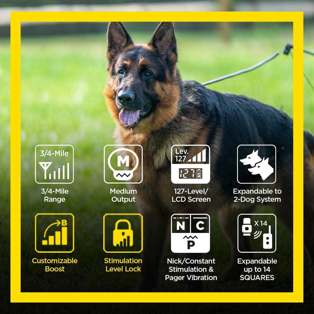 ARC Handsfree Plus Boost & Lock Pet Supplies Q115