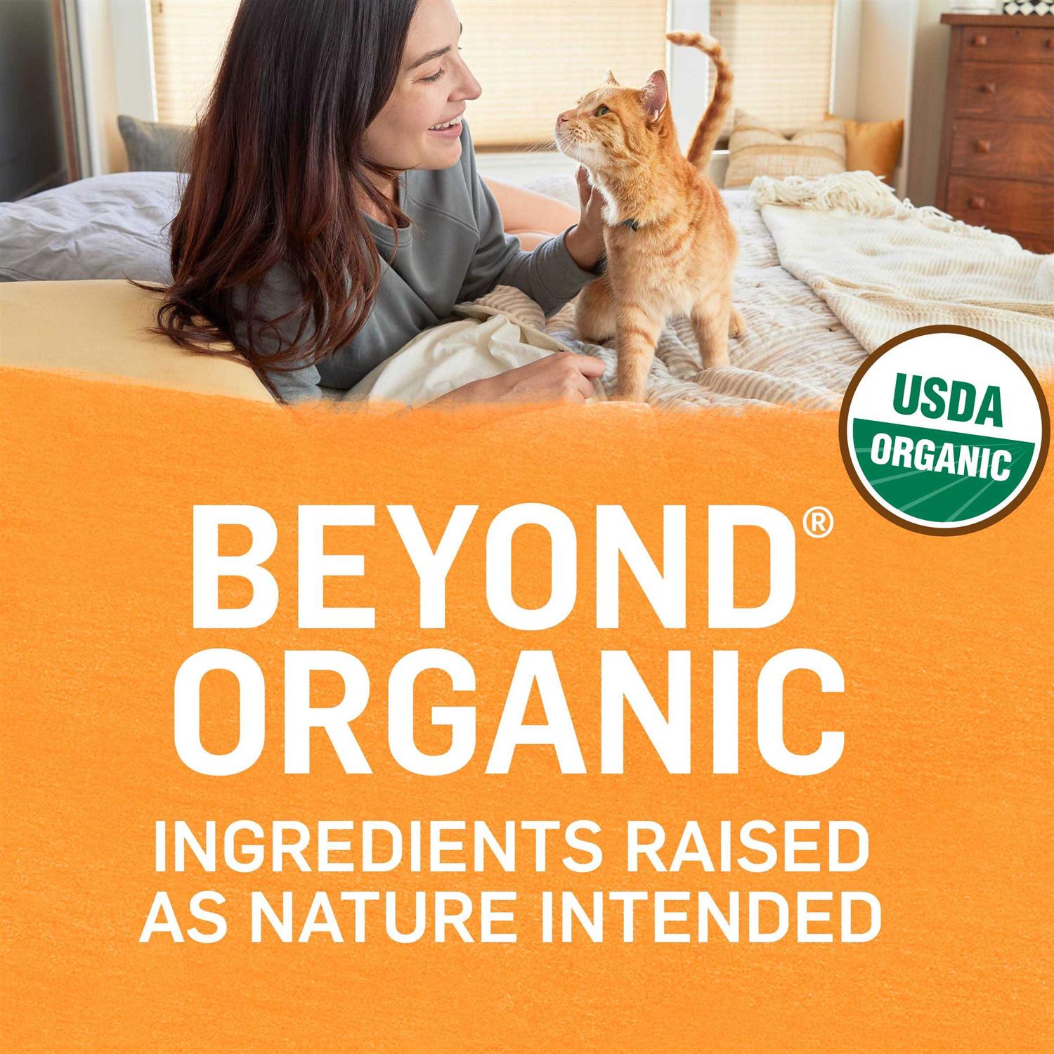 Organic Pate Wet Cat Food I9163
