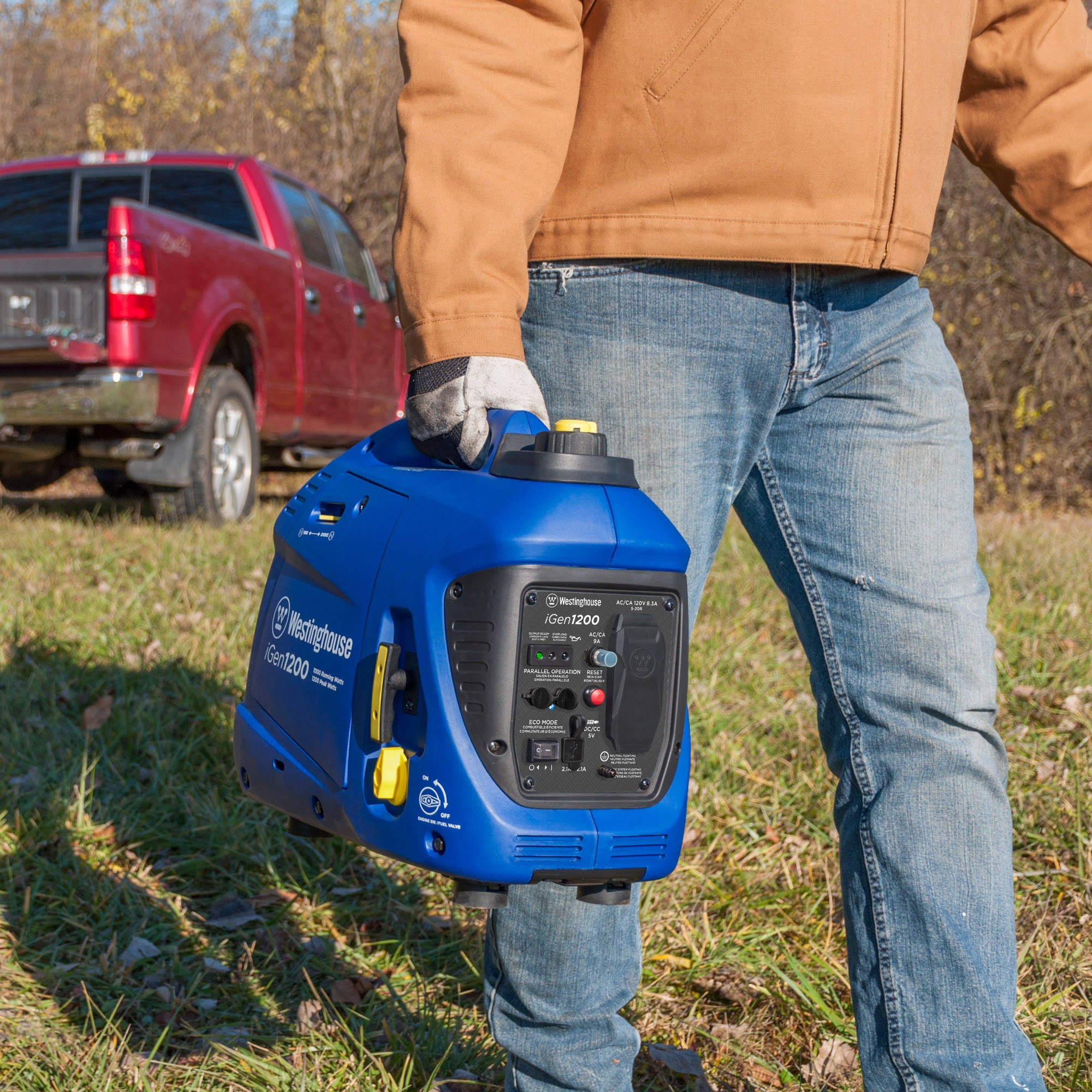Portable Inverter Generator L596