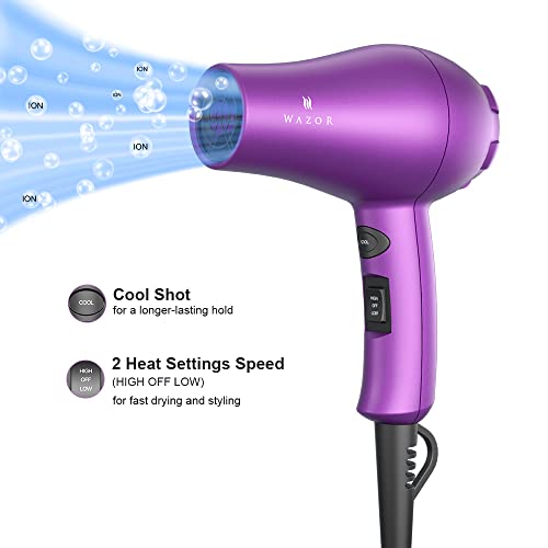 Compact 1000W Blow Dryer with Concentrator, Purple B8026