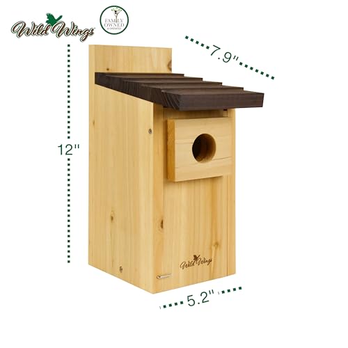 Cedar Blue Bird Box House B96982