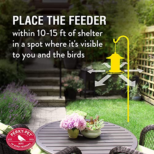 2 Lb Seed Capacity Wild Bird Feeder R715