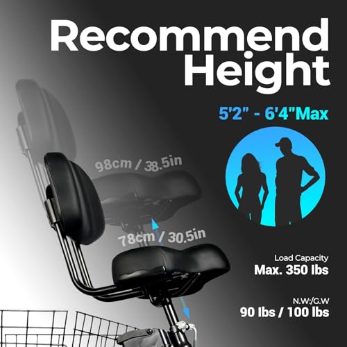 Black 20" x 4.0 Fat Tire Electric Tricycle O671