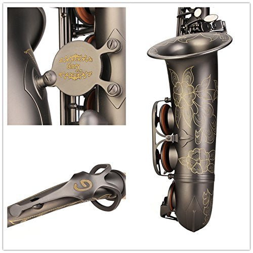 Black Lacquer E Flat Alto Saxophone with Case T416634