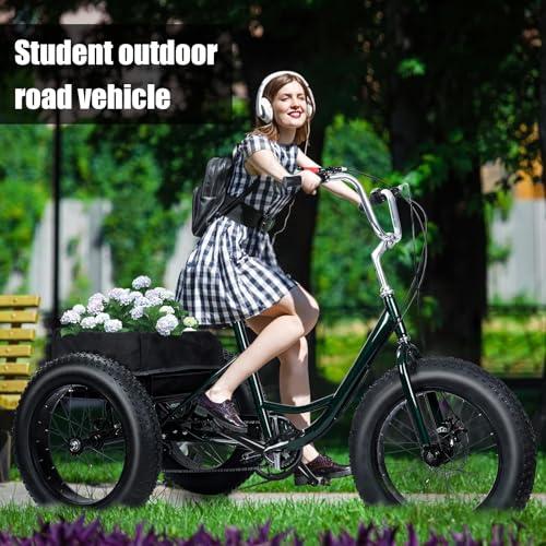 20" x 4.0 Fat Snow Tires 7 Speed Tricycle with Double Disc Brake J196755