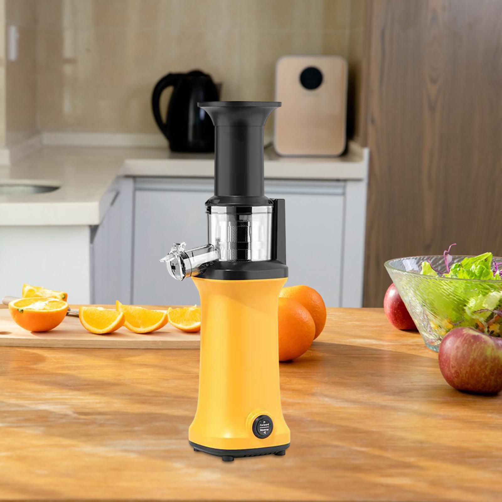 Masticating Juicer 120W Juicer Machine M131419