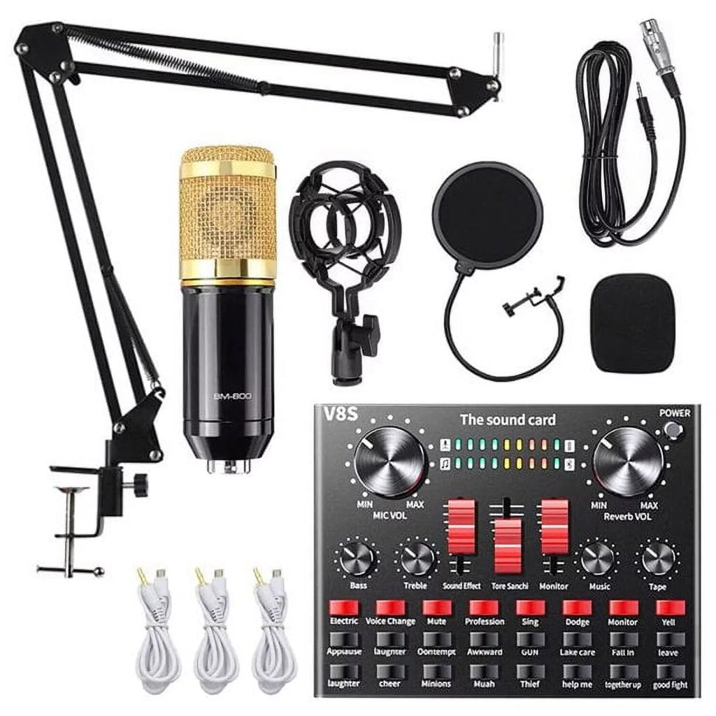 Condenser Microphone Bundle with Voice Changer L6060