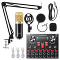 Condenser Microphone Bundle with Voice Changer L6060