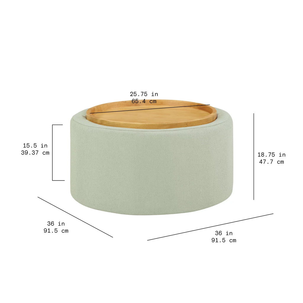 Sage Coffee Table with Storage Z141