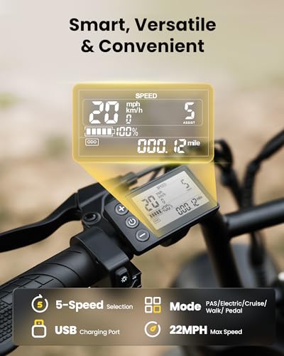 20" Fat Tire Electric Bike C8767