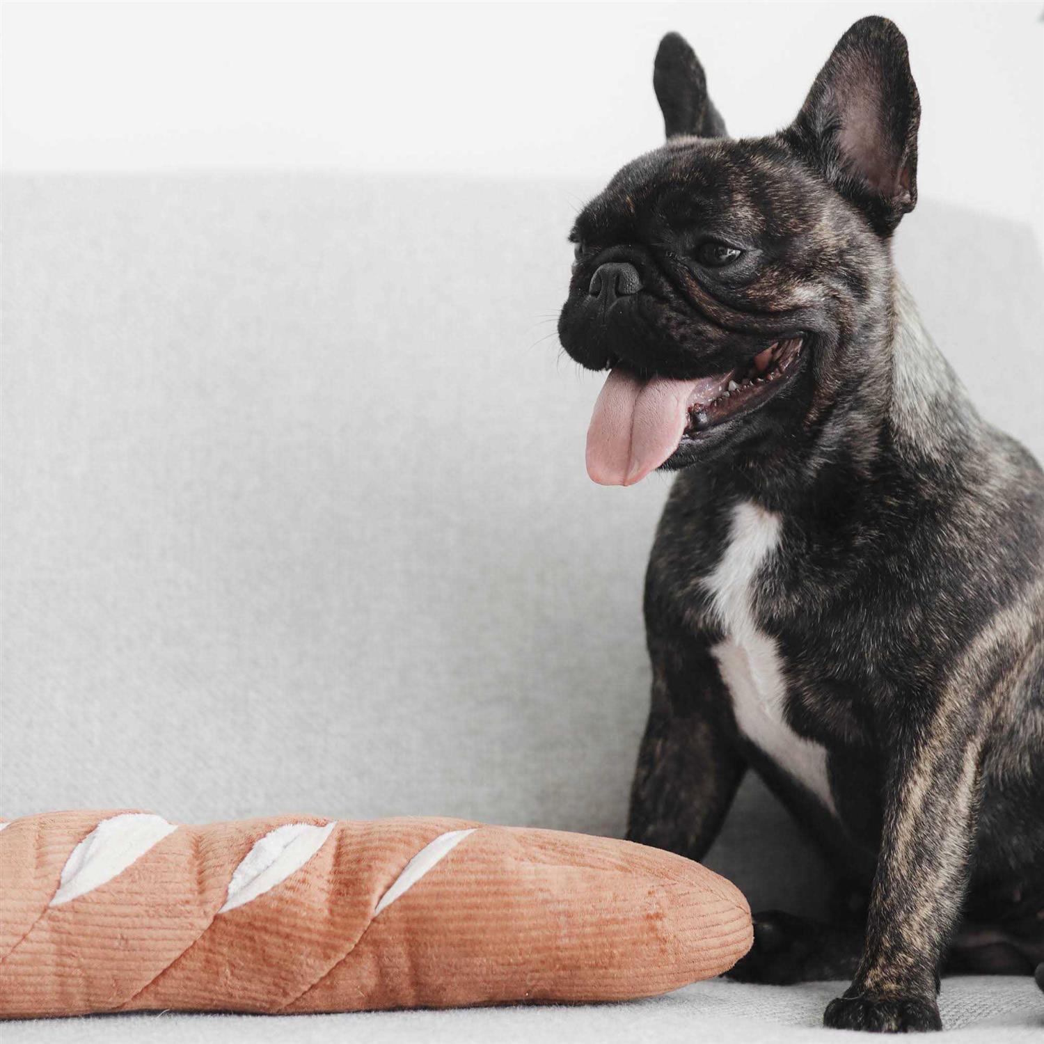 Baguette Enrichment Dog Toy B7320