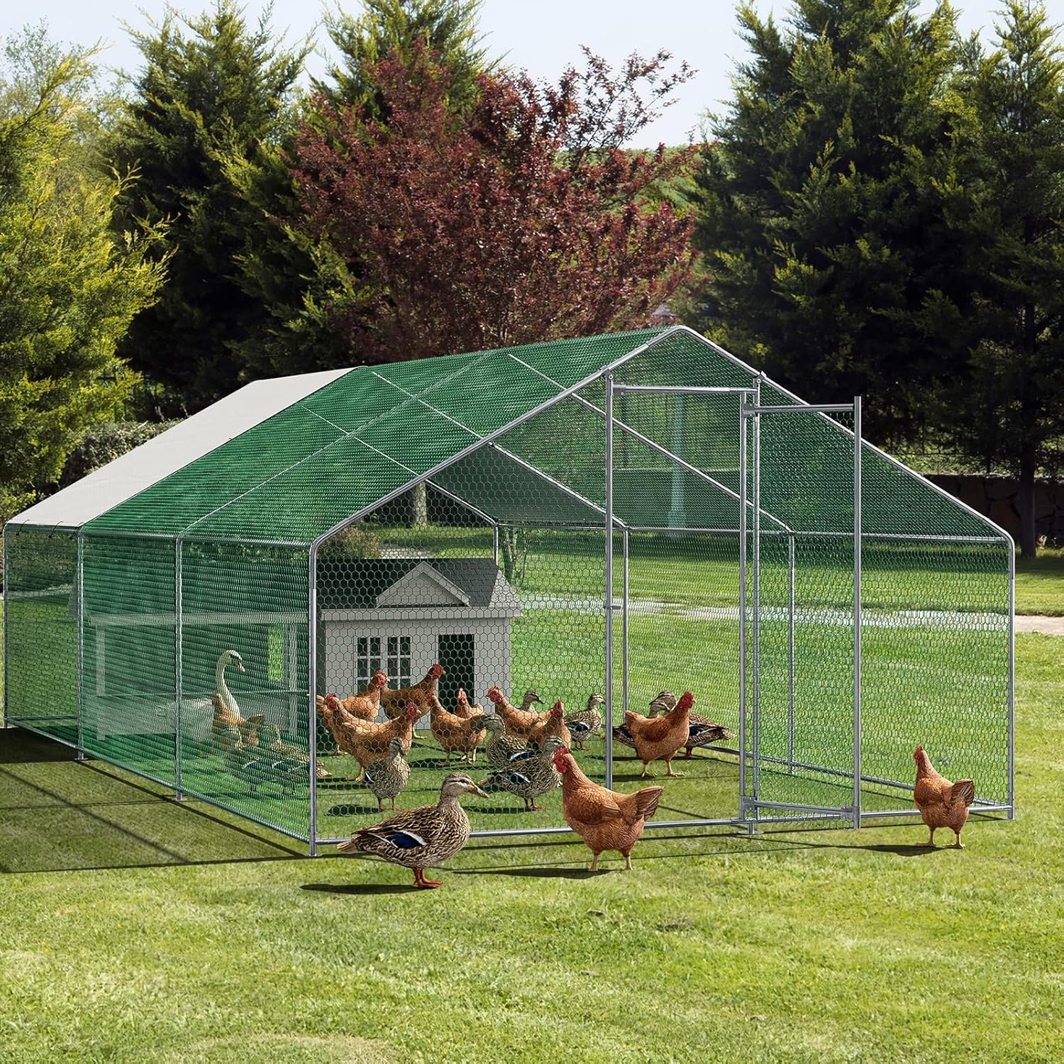 Metal Chicken Coop Galvanized Steel Walk-in Poultry Cage E645