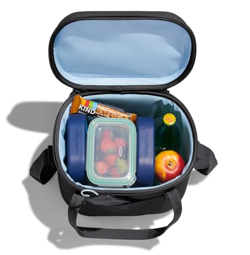 Insulated Soft Lunch Bag 12 L Capacity in Koala Gray and Black G693