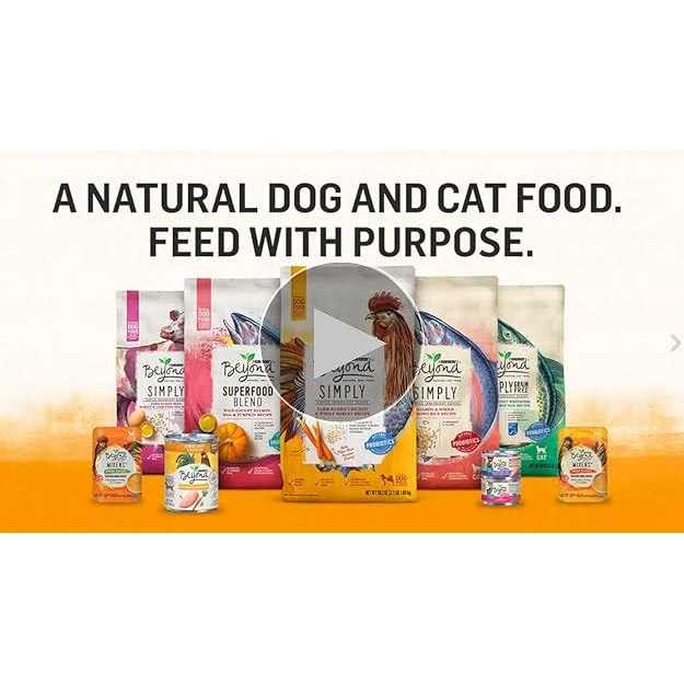 Organic Pate Wet Cat Food I9163