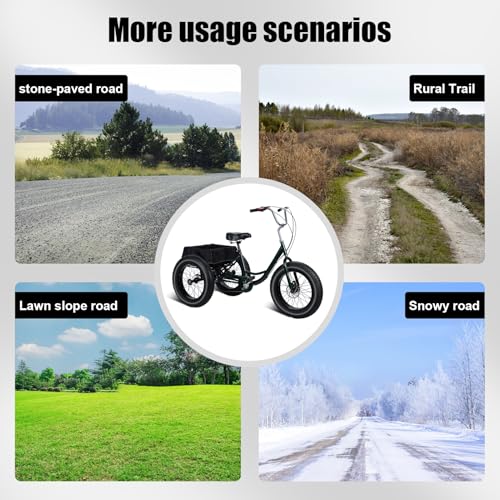 20" x 4.0 Fat Snow Tires 7 Speed Tricycle with Double Disc Brake J196755