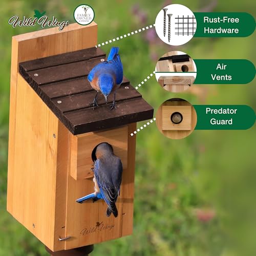 Cedar Blue Bird Box House B96982