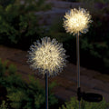 Set of 2 LED Solar Garden Stakes N470