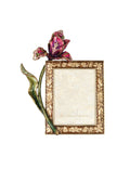 Frame U504082