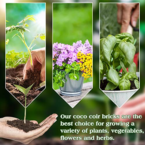 6PCS Organic Coconut Coir Bricks Potting Soil O825959