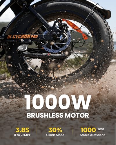 20" Fat Tire Electric Bike C8767