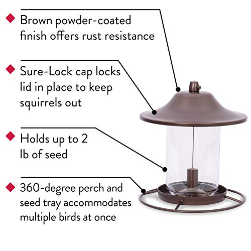 2 Lb Seed Capacity Wild Bird Feeder R715