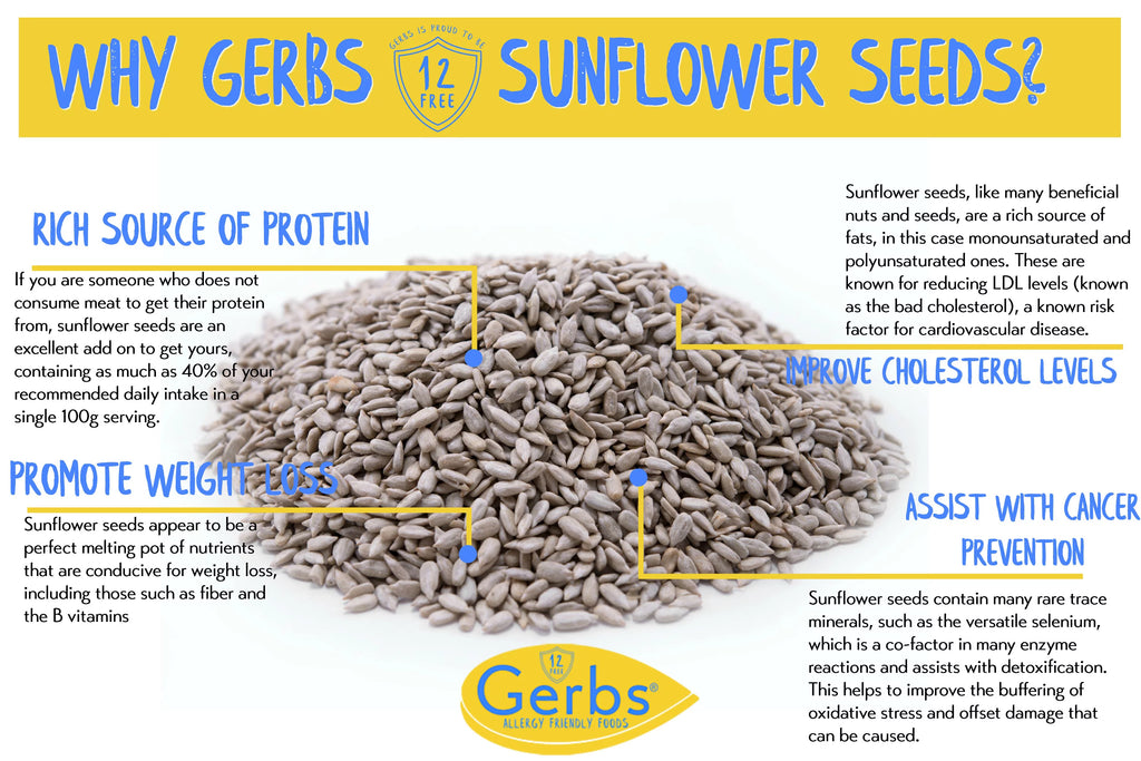Unsalted Roasted Sunflower Seed Kernels 2 LBS J129
