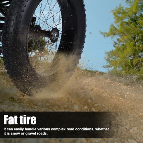 20" x 4.0 Fat Snow Tires 7 Speed Tricycle with Double Disc Brake J196755