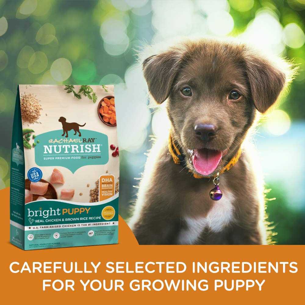 Real Chicken & Brown Rice Puppy Dry Dog Food S2563