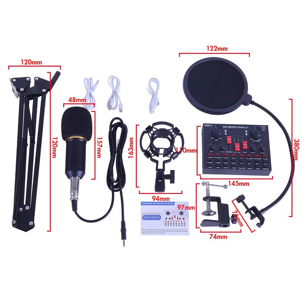 Condenser Microphone Bundle with Voice Changer L6060