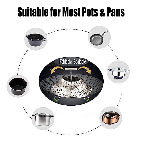 Expandable Steel Vegetable Steamer Basket (5.5"-9") L201