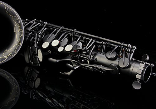 Black Lacquer E Flat Alto Saxophone with Case T416634