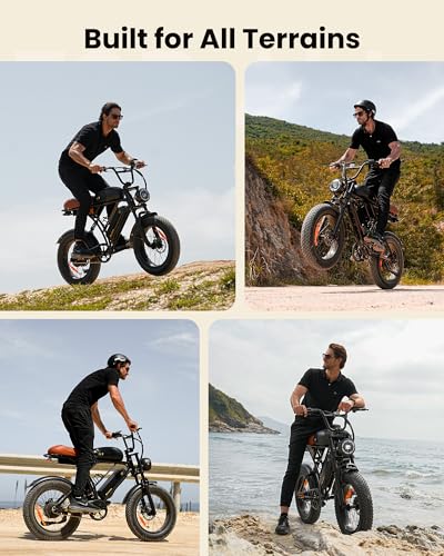 20" Fat Tire Electric Bike C8767