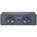 Black 2-way Center Channel Speaker P11228