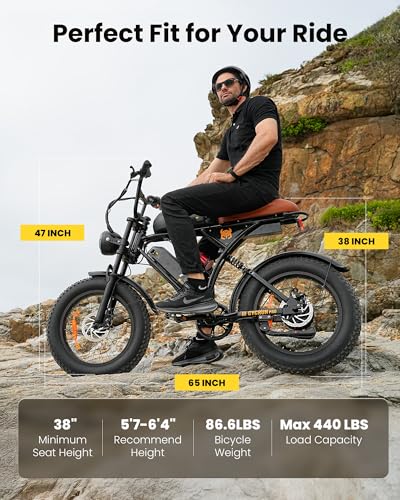 20" Fat Tire Electric Bike C8767