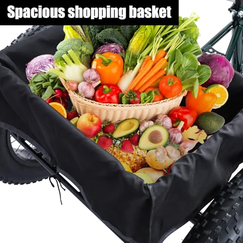 20" x 4.0 Fat Snow Tires 7 Speed Tricycle with Double Disc Brake J196755