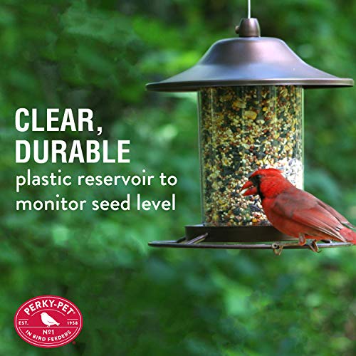 2 Lb Seed Capacity Wild Bird Feeder R715